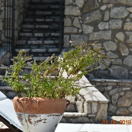 Estate Dafnopanagia Magda Karia (Lefkada)