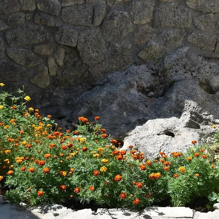 Villa Estate Dafnopanagia Magda *